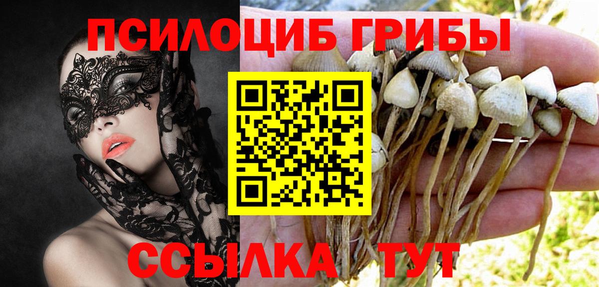 Галлюциногенные грибы Psilocybe  Вход с VPN  Коряжма 